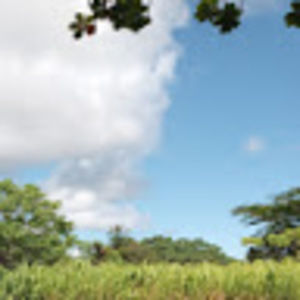 Meet your Posher, Peterson